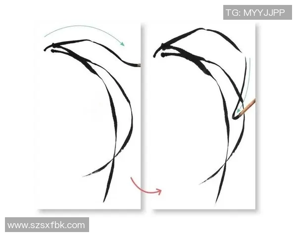 如何简单易懂地绘制足球明星卡洛斯的画法技巧与步骤分享